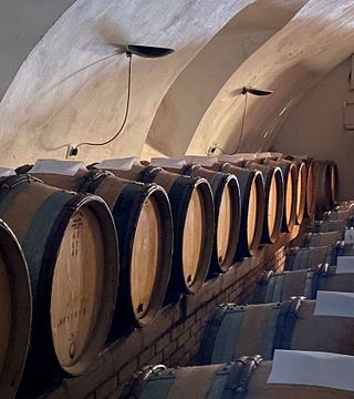 Dégustation exclusive de vins et visite de la cantine Dalzocchio avec vue sur Vallagarina