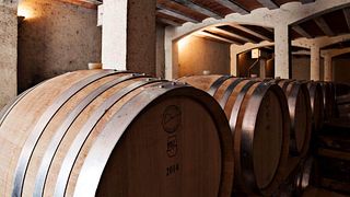 Dégustation et visite des vins du Clos Bagatelle
