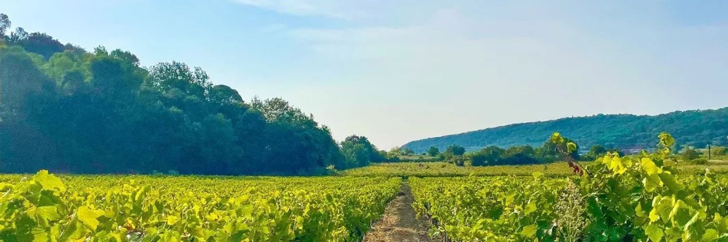 Château Saint Nabor 2 Wt2025
