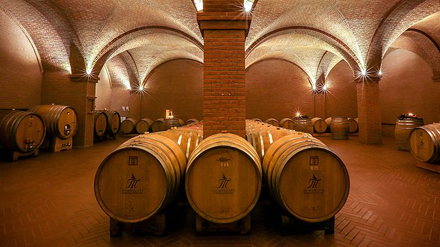 Veneto's Lugana Elegance: Wine & Cellar Journey