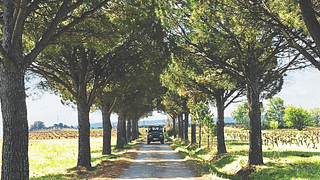Domaine Galevan