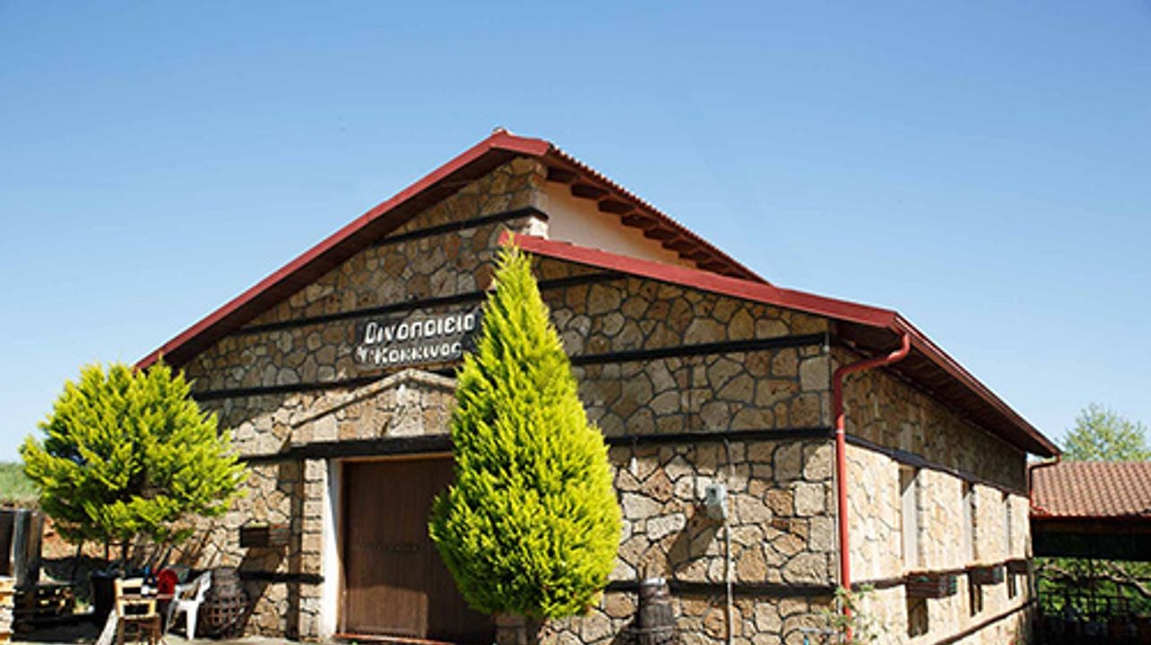 Visita guiada à vinícola Kokkinos Naoussa (retirada de Thessaloniki)