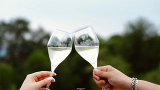 Vinprovning av Valdobbiadene DOCG med Cicchetti-parning
