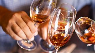 Vom Weinberg ins Glas