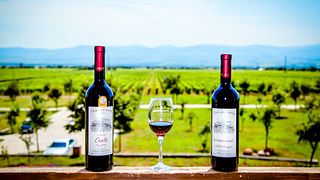 Winery Chelti