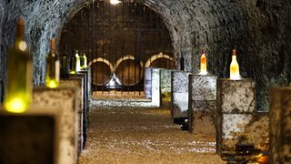 Degustação de vinhos e tour na vinícola Grof Degenfeld - II. Pacote NOBLE