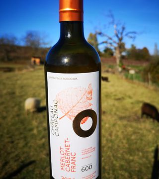 Chateau Camponac
