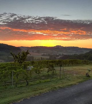 Piedmont Wine & Vineyard Tour at Marco Canato