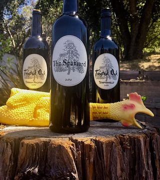 Weinprobe und Führung im Weingut Twisted Oak