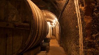 Premium vinprovning och rundtur på Bodegas De Alberto