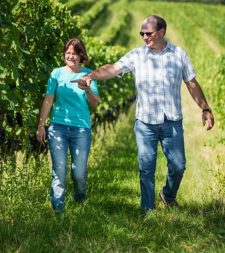 Cata de vinos y visita guiada en Weingut Grenzhof-Fiedler