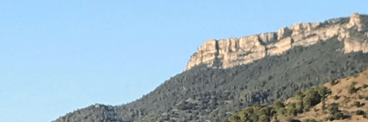 Celler Gritelles - GRITELLES DES D'EL MOLI
