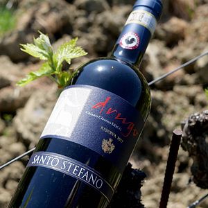 Tour del vino Bacco en Fattoria Santo Stefano