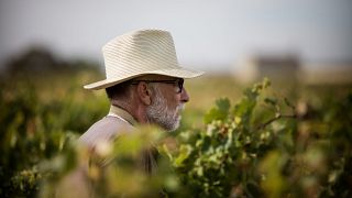 Cata de 3 vinos y 2 denominaciones de origen