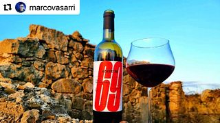 Dégustez les vins étonnants de Mariottini dans le vignoble