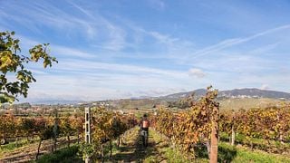 Dégustation de vins et visite à la Casa Di Baal