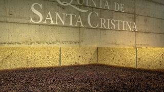 Degustazione di vini premium alla Quinta de Santa Cristina