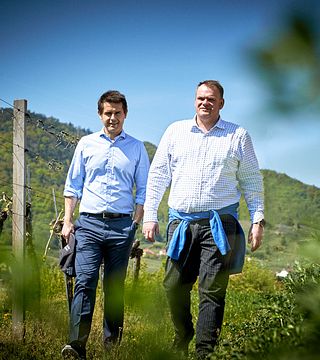 Cata de vinos y visita guiada al Domain Wachau.