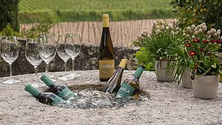 Dégustation de vins et visite de la Quinta de Covela
