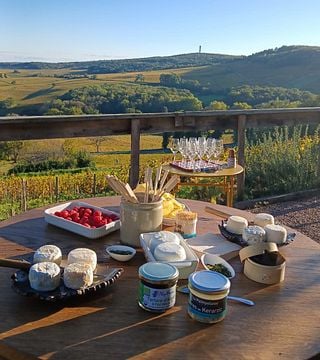Wine and Crottin de Chavignol tasting at the vineyard cabin at Vincent Grall Vigneron