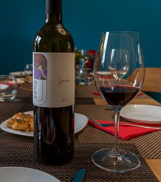 Degustação de 5 vinhos com comida local na vinícola Dragoshinov
