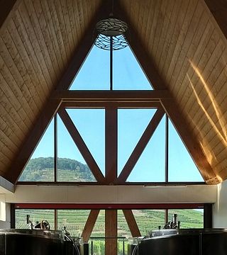 Tour enologico VIP dell'Alsazia con WineWeinVinoVin