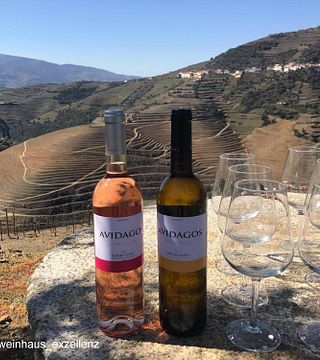 Quinta dos Avidagos