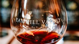 Yamhill Valley Vineyards