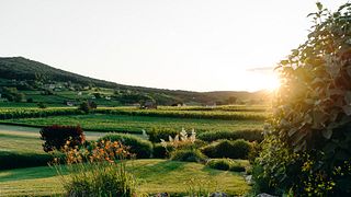 Elite-Weinprobe im Weingut Sauska | Villány