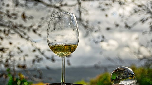 Galicia Wine Adventure: Vineyard Tour & Tasting at Bodega Torgo