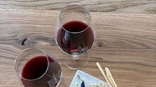 Visita à vinha e à adega, seguida de degustação de vinhos e queijos (incluindo Barolo).