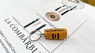 Degustazione di vini e tour a La Combarbia