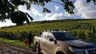 Degustação de vinhos e tour na WE Frank Wines