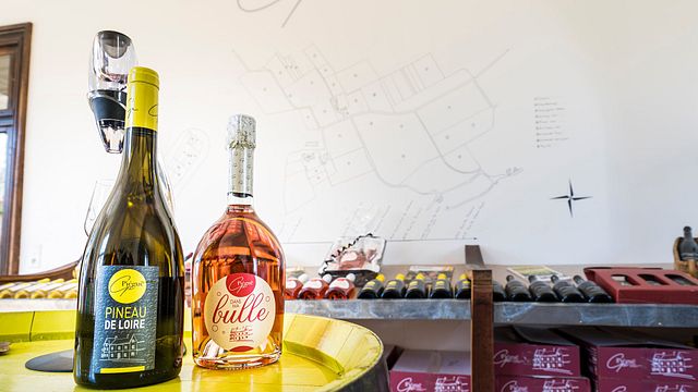 Disfrute de los vinos y de la estancia en el Château Piegue