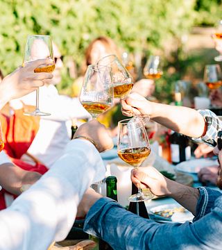 Cata de vinos con almuerzo ligero en viñedo