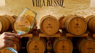 Visita e degustação na Fondazione Villa Russiz