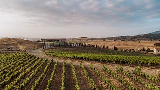 APRESENTAÇÃO DE ÓPERA DE VINHO E QUEIJO