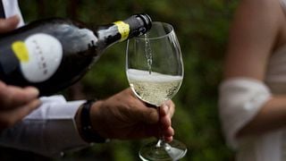 Degustação de vinhos e tour em Pitars