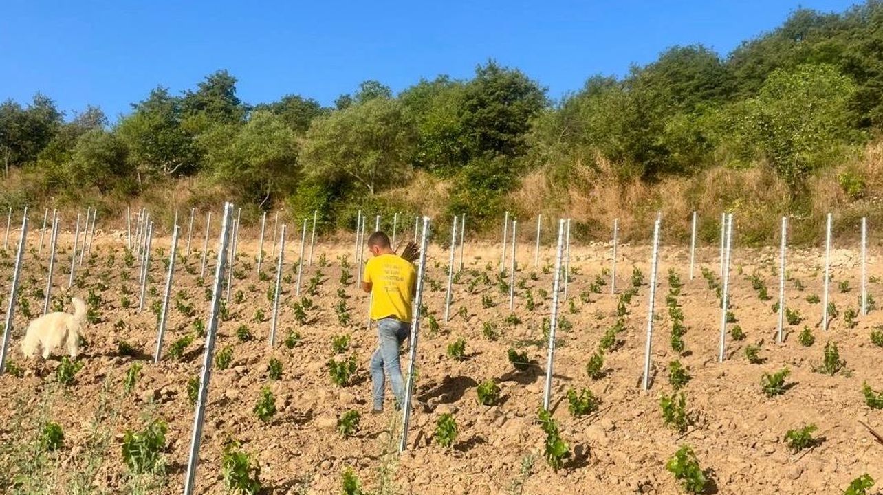 Cantina Francesco Cadinu