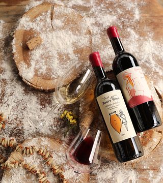 Degustazione di vini e tour presso l'azienda vinicola Baia