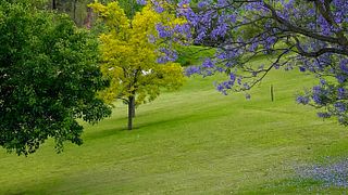 Excursão privada de dia inteiro para degustação de vinhos no Hunter Valley
