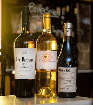 Degustazione di vini e tour a L'Olivera