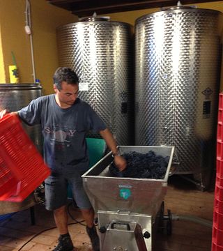 Cata de vinos y visita guiada en Casè
