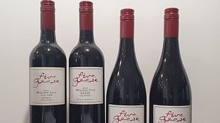 Weinprobe und Tour bei Five Geese Wines