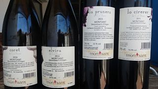 Catalonia's Montsant: Vine to Glass Wine Journey