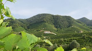 Perlage Winery
