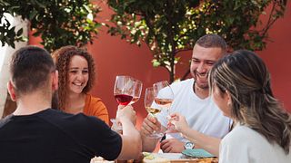 Authentic Wine Tasting at DAF Wines near Heraklion, Crete
