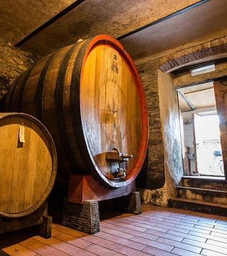 Wine Tasting and Tour at Podere IL Balzo