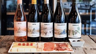Tinto Fino Pairing Experience