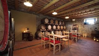 Wine tasting and tour at Azienda Agricola Zaccagnini
